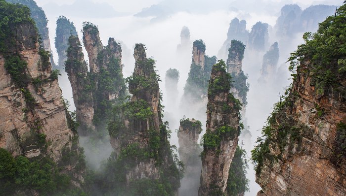 張家界景區(qū)收費不實傳聞揭秘