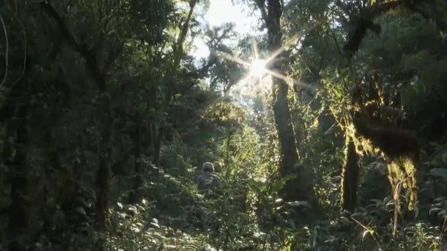 部隊穿越哀牢山現(xiàn)場實拍，一線部隊行進畫面曝光