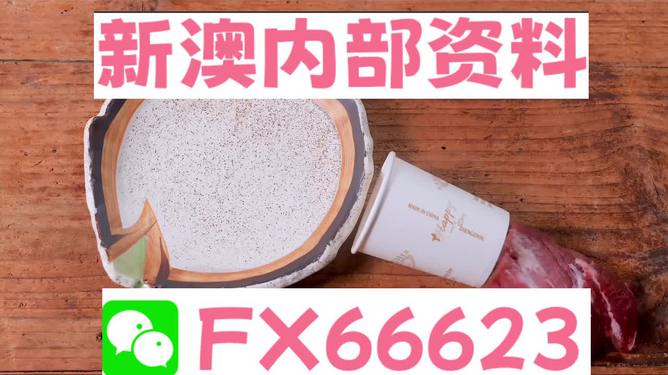 香港新澳精準(zhǔn)資料免費(fèi)提供，動態(tài)詞語解釋落實_The87.78.77