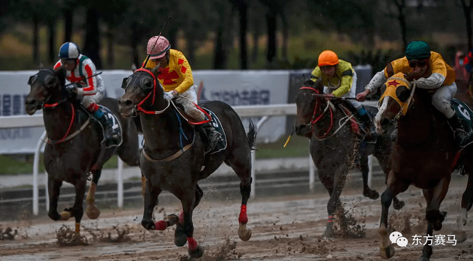 馬會(huì)香港7777788888,馬會(huì)香港7777帶您暢游賽馬樂趣_標(biāo)準(zhǔn)版7.3