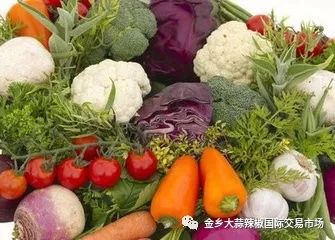 秋季蔬菜盛宴，豐富多樣且供應(yīng)充足的原因分析