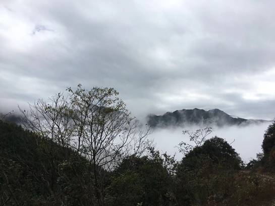 探索自然美景之旅，尋找內(nèi)心的平和與寧靜——Lu福利之旅的驚喜等待您！