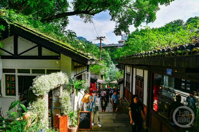 合肥小巷深處的幼教新星，隱藏版幼兒園探秘與新增園所揭秘