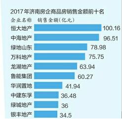 濟南最新購房政策深度解析，特性、體驗、競品對比與用戶洞察解讀報告（全面解讀濟南購房政策）