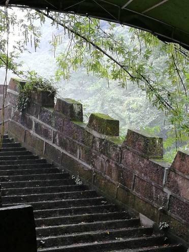 淮樹下的隱藏寶藏揭秘，小巷深處的獨特小店新發(fā)現(xiàn)（最新消息）