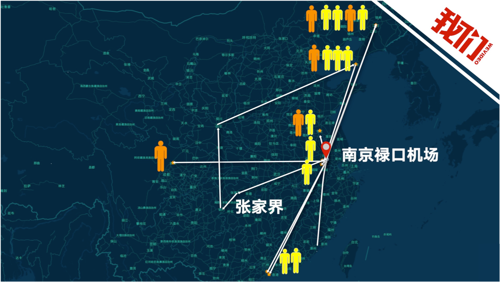 全面評測與深度解析，11月4日疫情最新軌跡