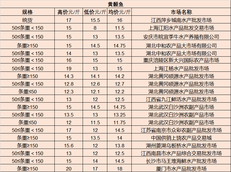 連云港人才市場最新招聘奇遇日，友情新篇章的溫暖邂逅