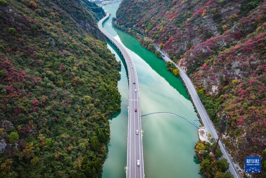 桃江新篇章，探尋最新規(guī)劃公路與小巷深處的美食秘境之旅