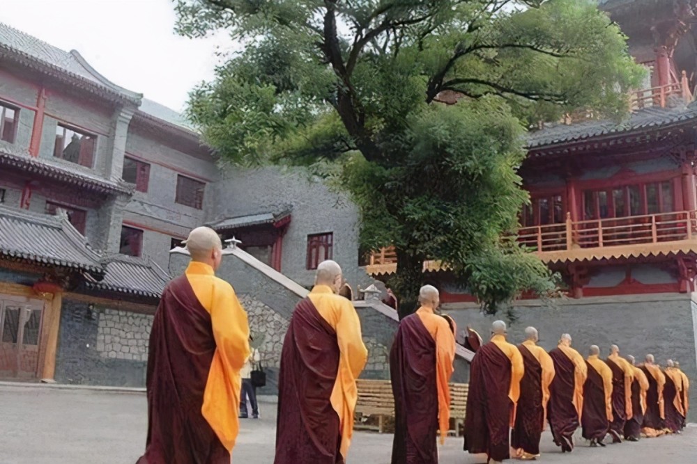 執(zhí)念師3最新消息揭秘，神秘特色小店探秘之旅