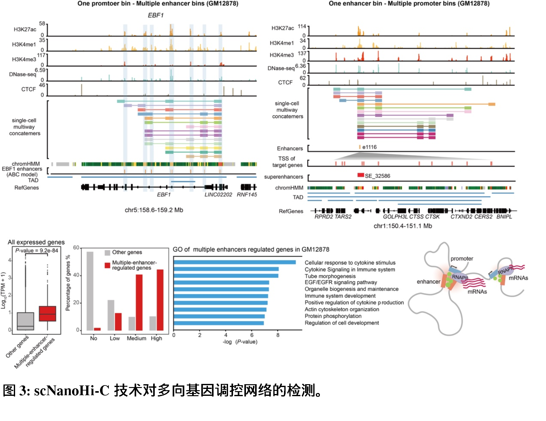 澳門彩資料，YLP62.848時(shí)尚版數(shù)據(jù)驅(qū)動(dòng)設(shè)計(jì)法