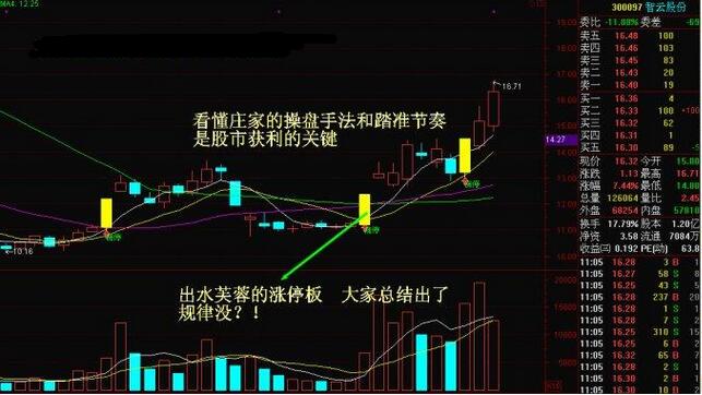 管家婆精準一碼一肖預測，智能版高效規(guī)劃_FQD61.338升級版