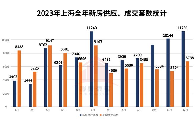 2024年11月16日電梯最新資訊大揭秘，全面評(píng)測(cè)與詳細(xì)介紹