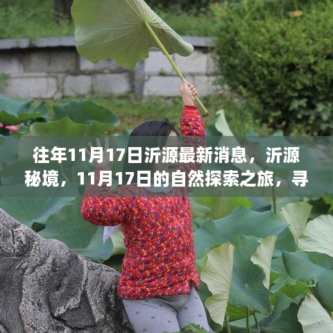 沂源秘境探索，11月17日的自然之旅，探尋桃花源般的心靈之地