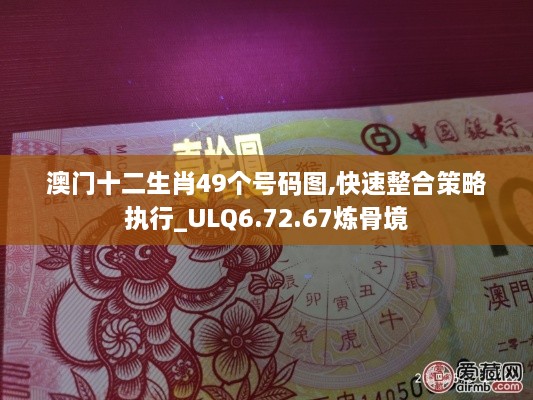 澳門十二生肖49個號碼圖,快速整合策略執(zhí)行_ULQ6.72.67煉骨境