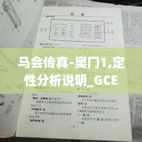 馬會傳真-奧冂1,定性分析說明_GCE5.57.87按需版