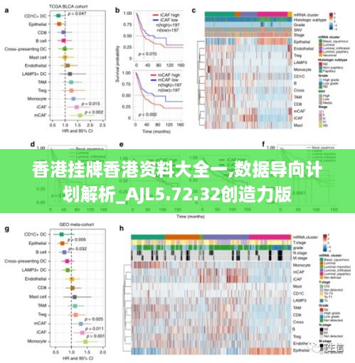 香港掛牌香港資料大全一,數(shù)據(jù)導(dǎo)向計劃解析_AJL5.72.32創(chuàng)造力版