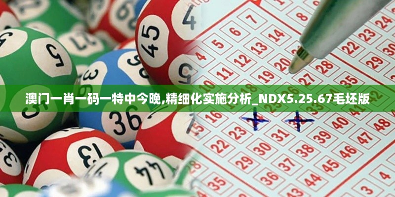 澳門一肖一碼一特中今晚,精細化實施分析_NDX5.25.67毛坯版