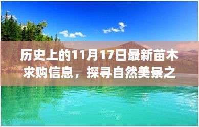 探尋自然美景之旅，歷史上的日子與今日苗木求購信息交匯點