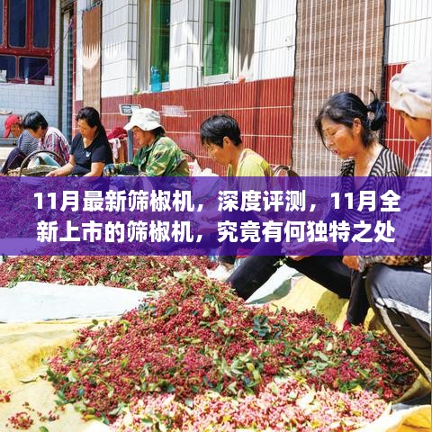 11月全新篩椒機(jī)深度解析，獨(dú)特之處大揭秘！