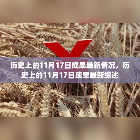 歷史上的11月17日成果最新綜述與進(jìn)展報(bào)告