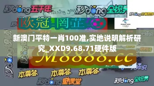 新澳門平特一肖100準(zhǔn),實(shí)地說(shuō)明解析研究_XXD9.68.71硬件版