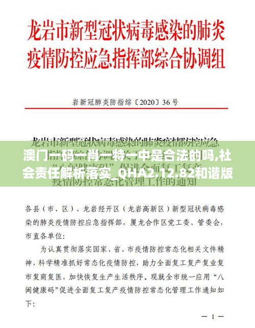 澳門一碼一肖一特一中是合法的嗎,社會(huì)責(zé)任解析落實(shí)_QHA2.12.82和諧版