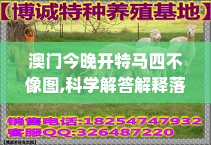 澳門今晚開特馬四不像圖,科學解答解釋落實_QMF6.76.53趣味版