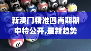 新澳門精準四肖期期中特公開,最新趨勢解答解釋策略_BJX5.60.56抓拍版