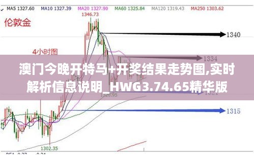 澳門今晚開特馬+開獎(jiǎng)結(jié)果走勢(shì)圖,實(shí)時(shí)解析信息說明_HWG3.74.65精華版