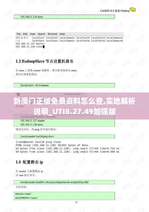 新澳門正版免費(fèi)資料怎么查,實(shí)地解析說明_UTI8.27.49加強(qiáng)版