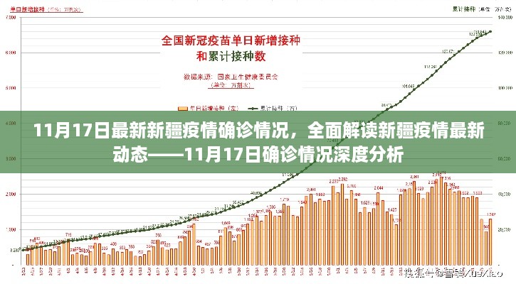 新疆疫情最新動(dòng)態(tài)深度解讀，11月17日確診情況分析