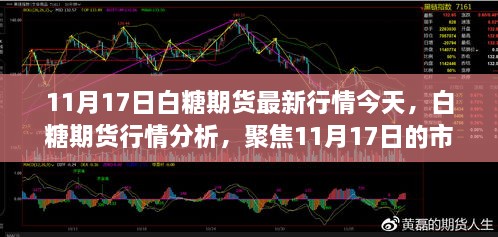 白糖期貨行情分析，聚焦市場動態(tài)與未來展望（最新行情報道，日期，11月17日）