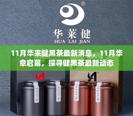 探尋健黑茶最新動態(tài)，華章啟幕，華來健黑茶最新消息揭秘