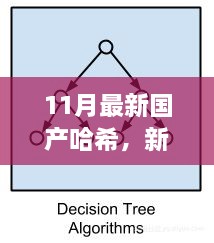 新哈希算法下的暖心日常，友情、家庭與愛的紐帶（11月最新國產(chǎn)哈希分享）