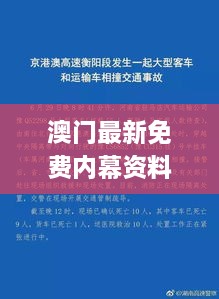 澳門最新免費(fèi)內(nèi)幕資料，11月19日深度解析與解答方案_SVP8.12.34標(biāo)準(zhǔn)版