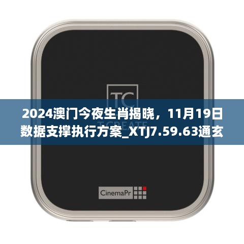 2024澳門今夜生肖揭曉，11月19日數(shù)據(jù)支撐執(zhí)行方案_XTJ7.59.63通玄境