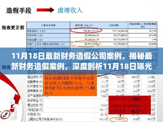 揭秘最新財(cái)務(wù)造假案例，深度剖析企業(yè)財(cái)務(wù)欺詐行為曝光紀(jì)實(shí)（11月18日最新）