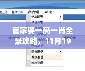 管家婆一碼一肖全景攻略，11月19日實(shí)地計(jì)劃設(shè)計(jì)驗(yàn)證_JSA8.44.26理想版