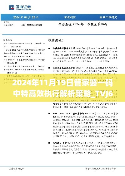 2024年11月19日管家婆一碼中特高效執(zhí)行解析策略_TVJ6.71.67并行版