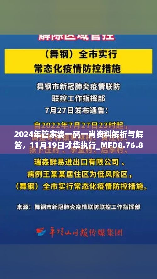 2024年管家婆一碼一肖資料解析與解答，11月19日才華執(zhí)行_MFD8.76.81加速版