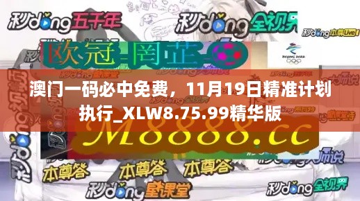 澳門一碼必中免費，11月19日精準計劃執(zhí)行_XLW8.75.99精華版