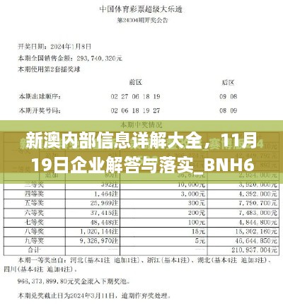 新澳內部信息詳解大全，11月19日企業(yè)解答與落實_BNH6.37.71零障礙版