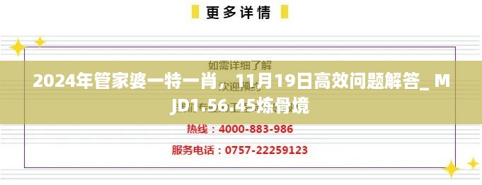 2024年管家婆一特一肖，11月19日高效問題解答_ MJD1.56.45煉骨境