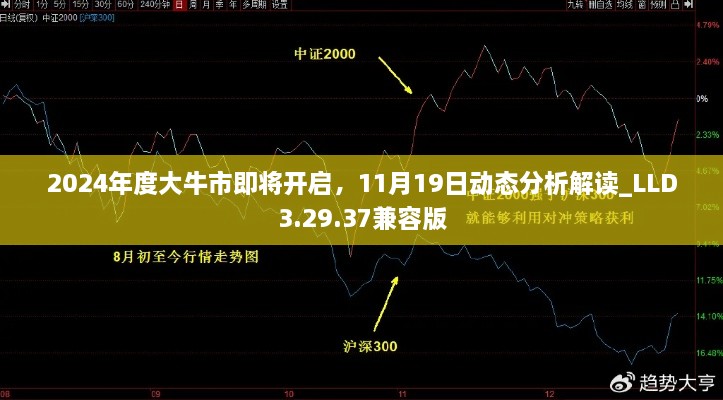 2024年度大牛市即將開啟，11月19日動態(tài)分析解讀_LLD3.29.37兼容版