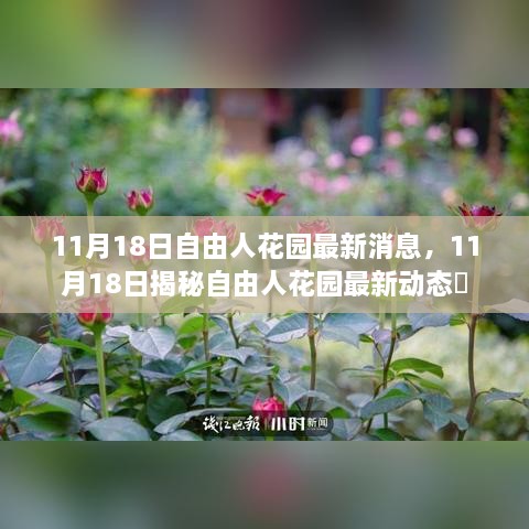 揭秘自由人花園最新動態(tài)，最新消息一覽（11月18日）