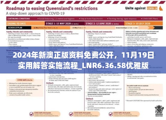 2024年新澳正版資料免費公開，11月19日實用解答實施流程_LNR6.36.58優(yōu)雅版