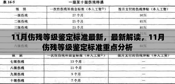 最新解讀與重點分析，11月傷殘等級鑒定標(biāo)準(zhǔn)詳解