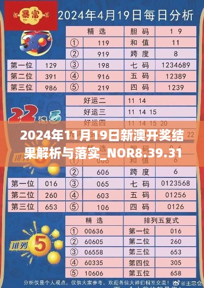 2024年11月19日新澳開獎結果解析與落實_NOR8.39.31珍稀版