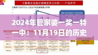 2024年管家婆一獎(jiǎng)一特一中：11月19日的歷史定性評估解析_CHQ5.72.80DIY工具版