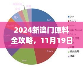 2024新澳門原料全攻略，11月19日專職解析實施_LXC6.23.35L版